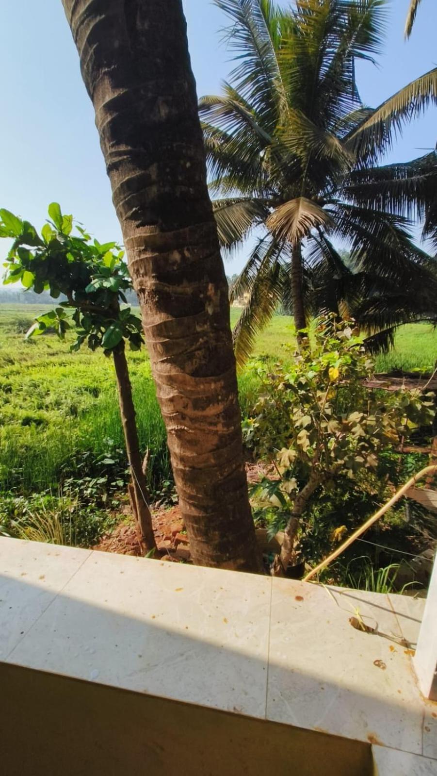 מלון קנדולים Green Field View מראה חיצוני תמונה