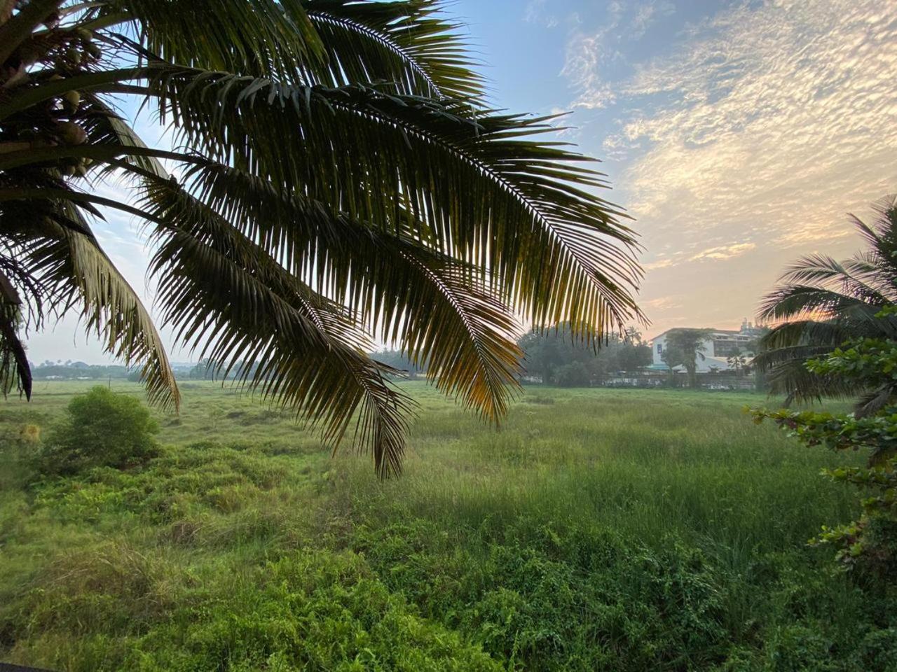 מלון קנדולים Green Field View מראה חיצוני תמונה